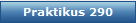 Praktikus 290